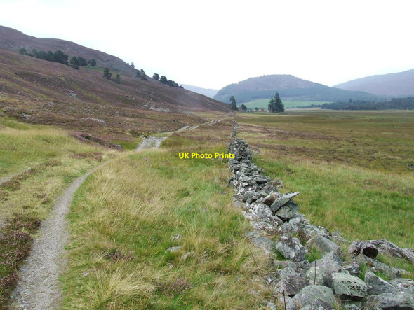 Photo 6"x4" Track to Allanmore Allanaquoich c2010