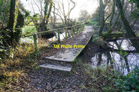 Photo 6"x4" Walkway on the Templer Way Newton Abbot c2014