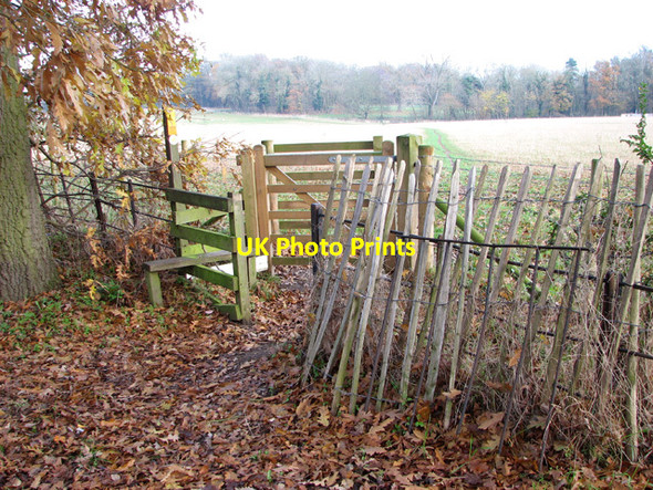 Photo 6"x4" Footpath to Swardeston Lower East Carleton c2014