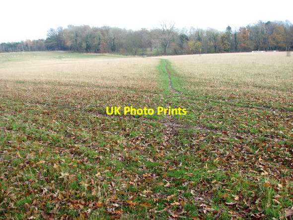 Photo 6"x4" Footpath traversing sheep pasture Lower East Carleton c2014