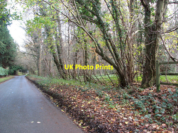 Photo 6"x4" View along Catbridge Lane East Carleton c2014