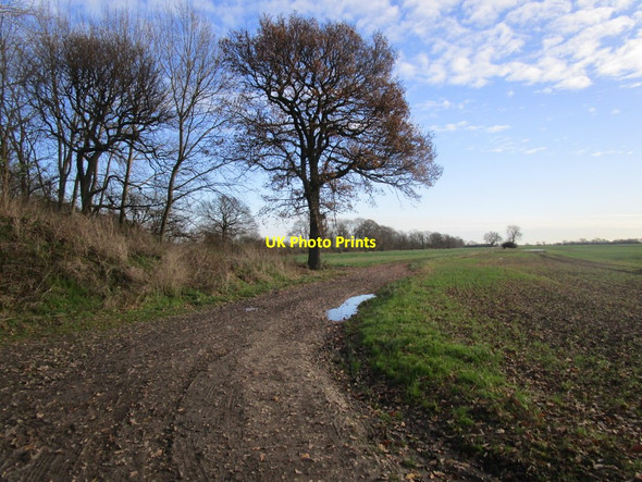 Photo 6"x4" Bend in the track West Cowick c2014