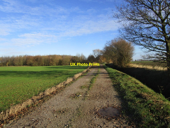 Photo 6"x4" Carr Lane West Cowick c2014