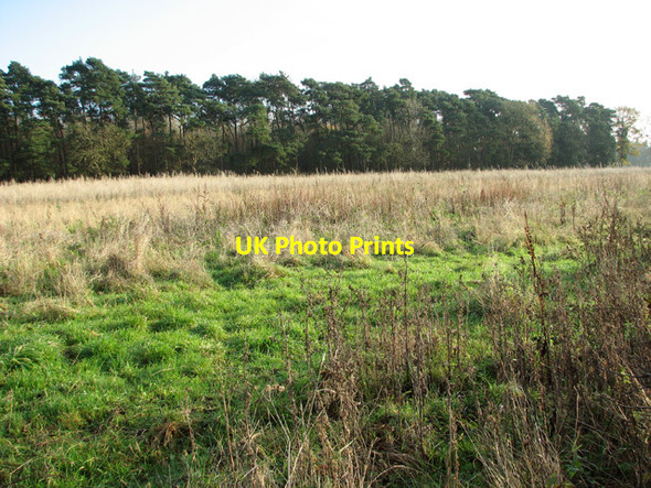 Photo 6"x4" Small wood in East Carleton East Carleton c2014