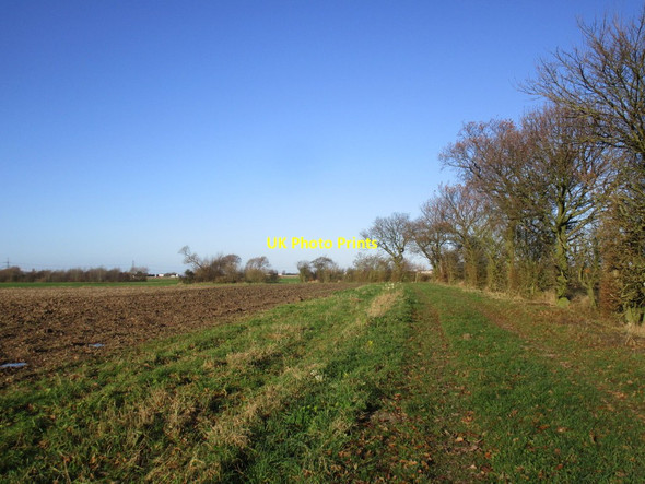 Photo 6"x4" Footpath from the canal bank West Cowick c2014