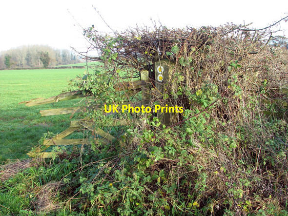 Photo 6"x4" Footpath markers on fence post East Carleton c2014