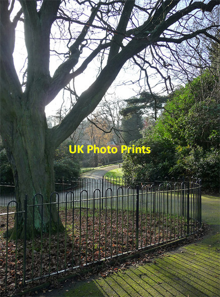 Photo 6"x4" Sydenham Wells Park (2) Penge c2014