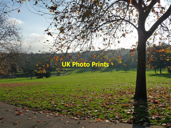 Photo 6"x4" Sydenham Wells Park (7) Penge c2014