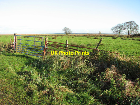 Photo 6"x4" Gate into pasture Lower Thurlton c2014