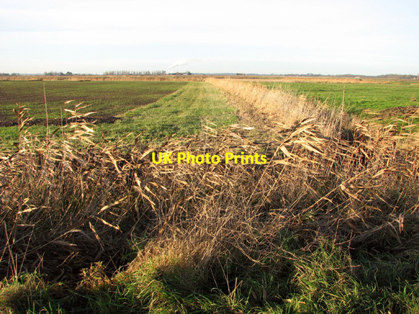 Photo 6"x4" Fields in the Norton Marshes Lower Thurlton c2014