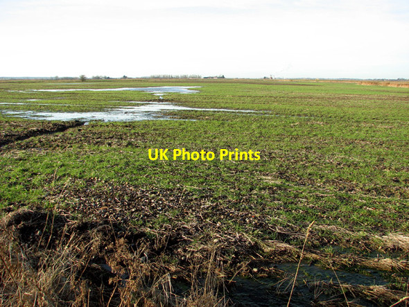 Photo 6"x4" Waterlogged crop field in the Norton Marshes Lower Thurlton c2014