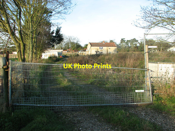 Photo 6"x4" House beside the River Yare Reedham\/TG4201 c2014