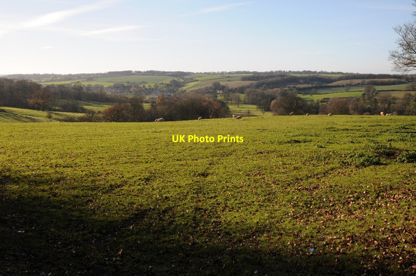Photo 6"x4" Field below Stow-on-the-Wold Stow-on-the-Wold c2014