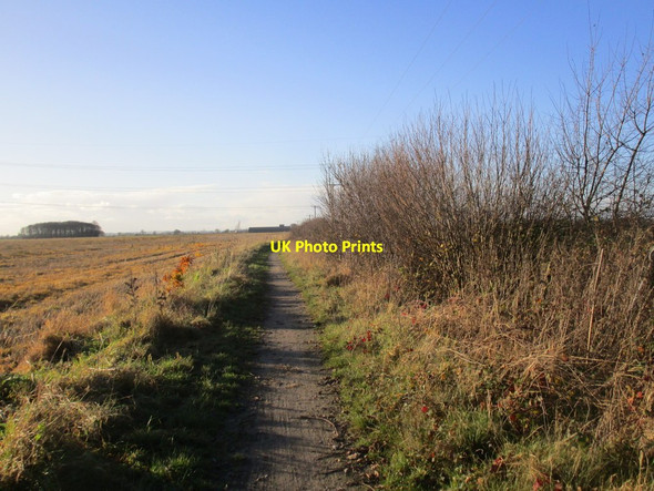 Photo 6"x4" Bridleway to Topham Topham c2014