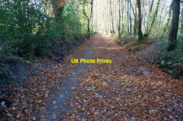 Photo 6"x4" Bridleway to Bovey Tracey Bovey Tracey c2014