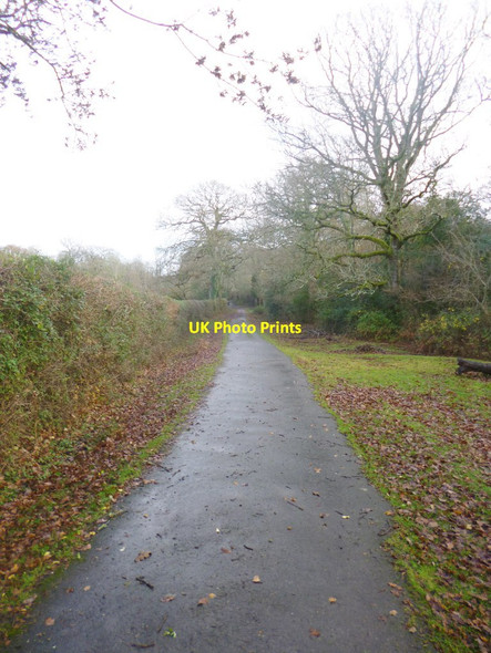 Photo 6"x4" Canterton, byway Brook\/SU2714 c2014