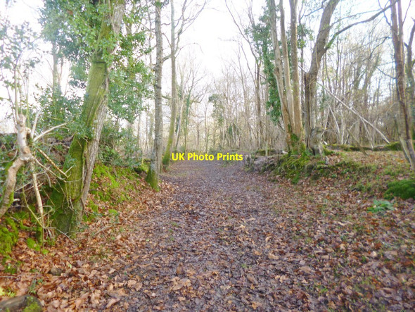 Photo 6"x4" Canterton, bridleway Brook\/SU2714 c2014