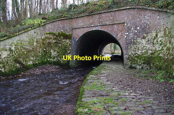 Photo 6"x4" Bridge 171, Lancaster Canal Stainton\/SD5285 c2014