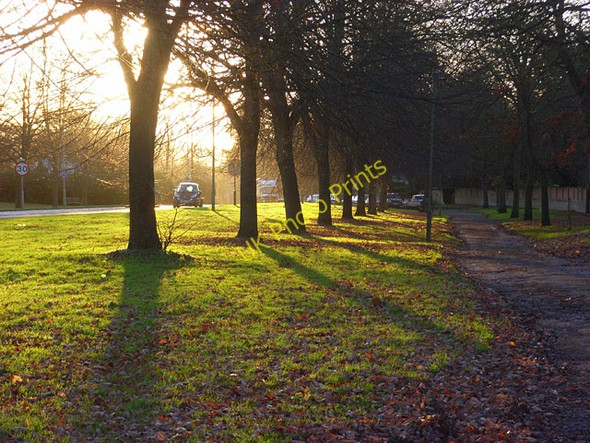 Photo 6"x4" Beside the Fair Mile, Henley Henley-on-Thames c2008