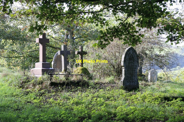 Photo 6"x4" Over grown Graves Glascwm\/SO1553 c2014