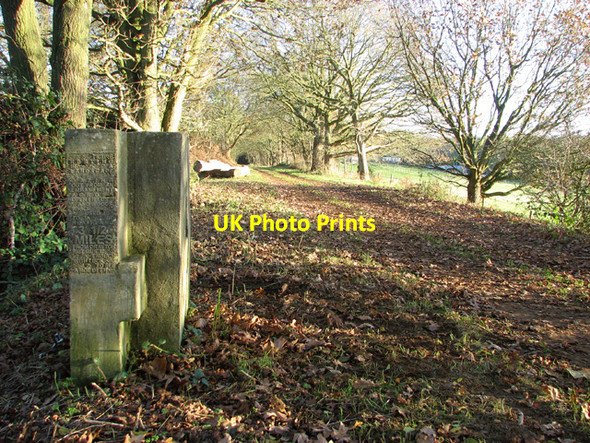 Photo 6"x4" Concrete sculpture beside Marriott's Way Morton\/TG1217 c2014