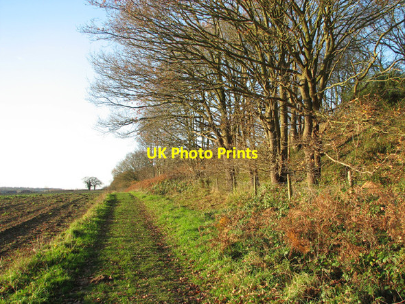Photo 6"x4" Farm track beside railway embankment Morton\/TG1217 c2014