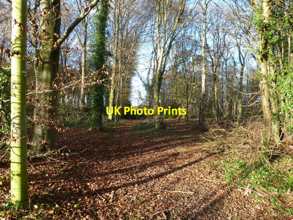 Photo 6"x4" Bridleway AE4 Sole Street\/TR0949 c2014