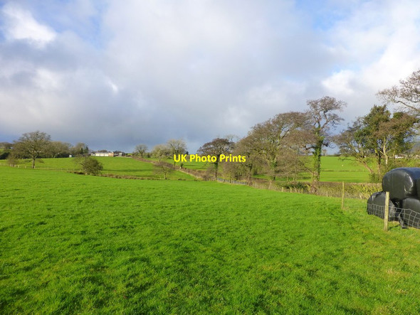 Photo 6"x4" Tree lined Mill Lane at Wallclough Hesketh Lane c2014