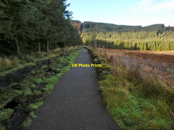 Photo 6"x4" Path to Goukhill Muir Arden\/NS3684 c2014