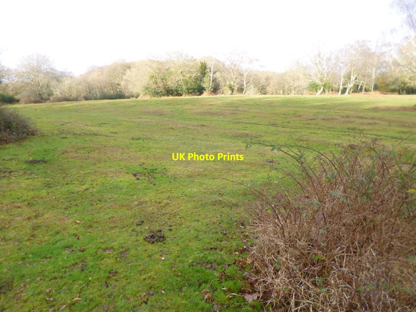 Photo 6"x4" Brook, lawn Brook\/SU2714 c2014