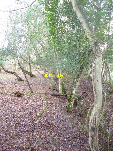 Photo 6"x4" Brook, embankment & ditch Brook\/SU2714 c2014