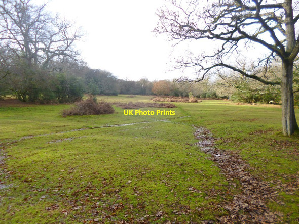 Photo 6"x4" Bramshaw, lawn Bramshaw c2014