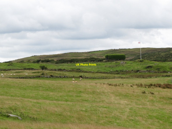 Photo 6"x4" Grazing sheep on the Slievenaboley Ridge Finnis c2014