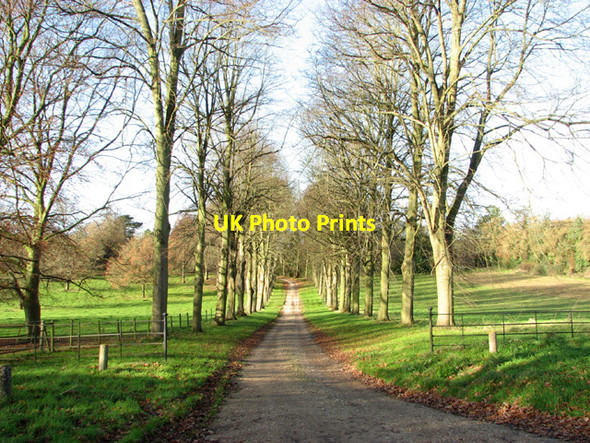 Photo 6"x4" Driveway to Sparham Hall Pockthorpe\/TG0718 c2014