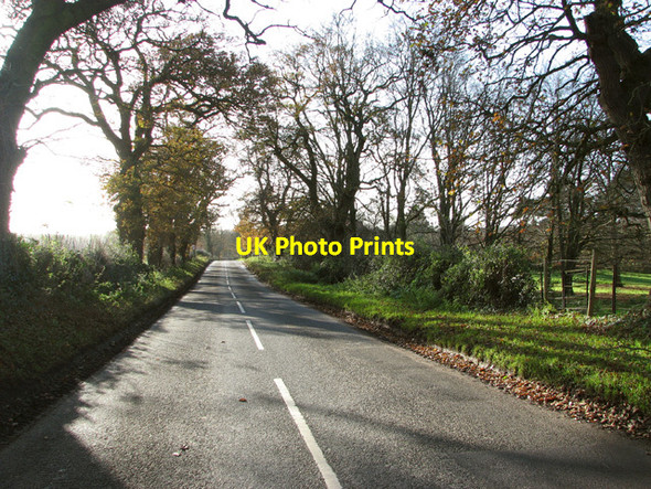 Photo 6"x4" View south along Lyng Road Pockthorpe\/TG0718 c2014