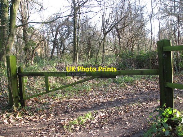 Photo 6"x4" Gated entrance by Lyng Mill Easthaugh c2014