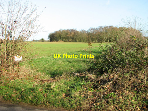 Photo 6"x4" Crop fields by Fustyweed Mill Street\/TG0517 c2014