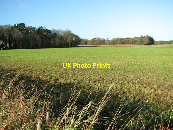 Photo 6"x4" Fields by Elsing Lodge Plantation Mill Street\/TG0517 c2014