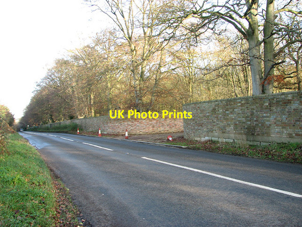 Photo 6"x4" Dereham Road past Bylaugh Wood Billingford\/TG0120 c2014