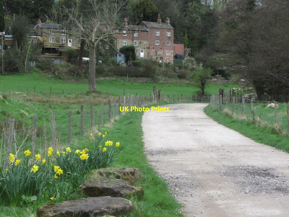 Photo 6"x4" Track approaching Danebridge Danebridge c2014