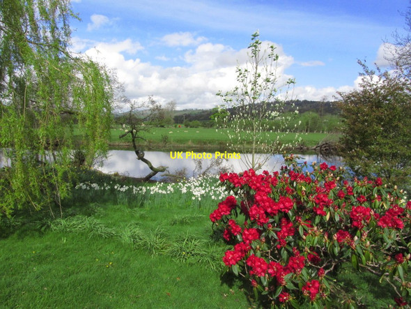 Photo 6"x4" The R Dee, upstream of Pont Corwen, near Corwen Corwen c2014