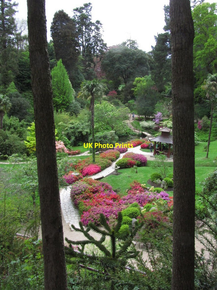 Photo 6"x4" Powerscourt Gardens - Japanese Gardens Enniskerry c2014