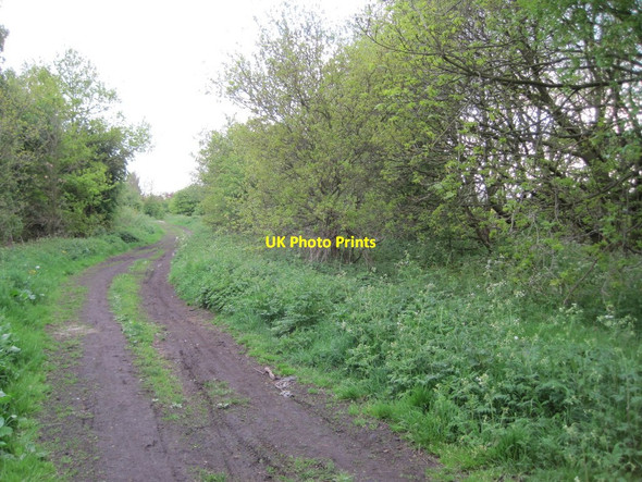 Photo 6"x4" Notton & Royston railway station (site), Yorkshire Royston\/SE3511 c2013