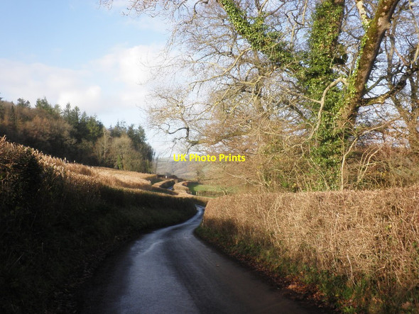 Photo 6"x4" Castle Lane Castle\/ST0928 c2014