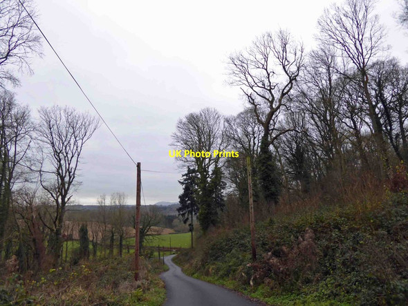 Photo 6"x4" Woodcock Hill bends on road Bringsty Common c2014
