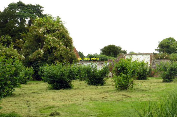 Photo 6"x4" The orchard at Baddesley Clinton Kingswood\/SP1871 c2014