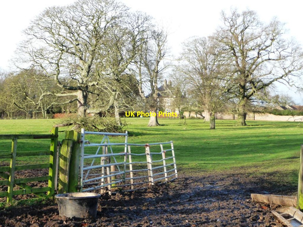 Photo 6"x4" The Old Rectory, Sessay Sessay c2014