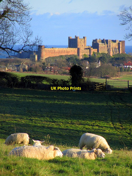 Photo 6"x4" Bamburgh Castle from the west Bamburgh c2014