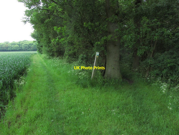 Photo 6"x4" Meeting of paths, Oldfield Grove, Langley, Essex Building End c2014