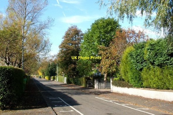 Photo 6"x4" Thorn Road, Bearsden Bearsden c2007